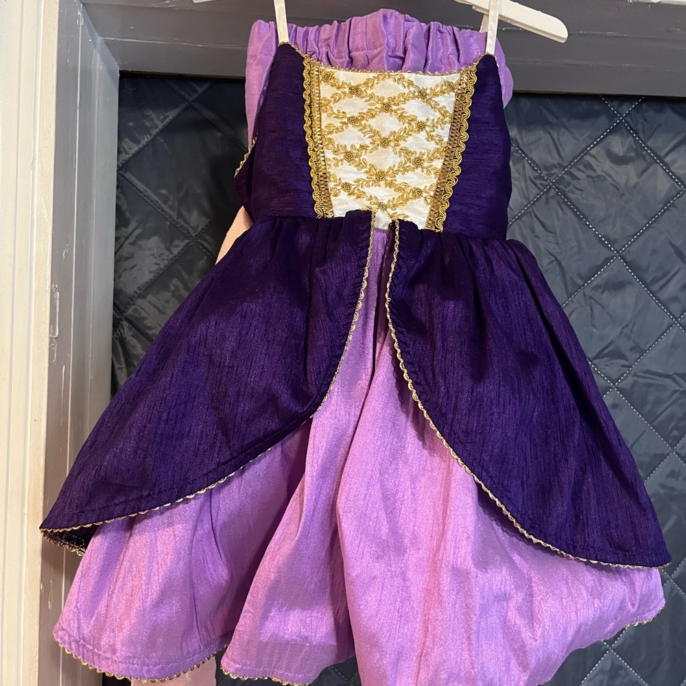Majestic Purple and Gold Kids Costume